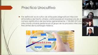 Práctica 8 Urocultivo [upl. by Onitnelav804]