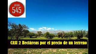 CASI 2 HECTAREAS A LA VENTA AL PIE DE UN CERRO HERMOSO POR EL PRECIO DE UN TERRENO CHICO [upl. by Yesmar]