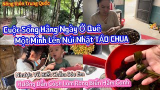 🌻271🌻Một Mình Lên Núi Nhặt Trái TÁO CHUA Hướng Dẫn Cách Làm Rong Biển Hầm CanhCSTQ [upl. by Ellett]