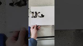 Invisible Fire Writing Experiment with Sodium Nitrate  1K Special [upl. by Waugh218]