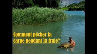 Comment prendre une carpe pendant la fraie Part 2 [upl. by Gratiana]