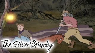 The Silver Brumby  Charlie Lends A Helping Hand HD  Full Episode  Cartoons For Children [upl. by Daenis]