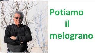 Potiamo il melograno [upl. by Ossy285]