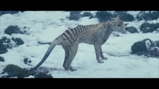 The Hunter  Tasmanian Tiger Scene spoilers [upl. by Ahseiuqal]