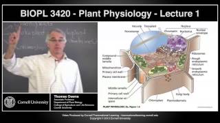 BIOPL3420  Plant Physiology  Lecture 1 [upl. by Hoffman657]