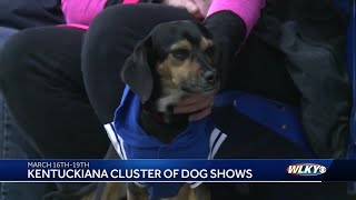 Kentuckiana cluster of dog shows put on by MidKentucky and Louisville Kennel Clubs [upl. by Avis]