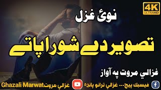 Tasveer de sho ra patay Sad nazam Ghazali Marwat [upl. by Jakie715]