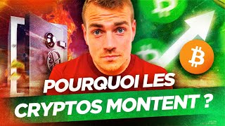 Hausse des Cryptos  pourquoi  Que se passetil [upl. by Enahpad]