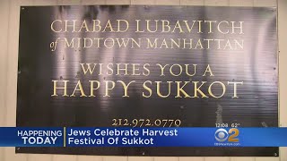 Jews Celebrate Harvest Festival Of Sukkot [upl. by Wenonah]