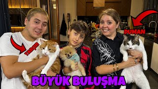 CİROYU KEDİLERİMİZLE BULUŞTURDUK  BÜYÜK BULUŞMA [upl. by Kafka487]