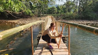 With Close Materials  Making A Simple Bamboo Bridge Across The Stream [upl. by Frederic]