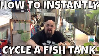 HOW TO INSTANT CYCLE A FISH TANK WITHOUT WAITING [upl. by Nosidam]