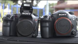 Sony Alpha A99 vs A77 [upl. by Kaleena]