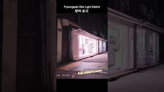 쌈리 평택 pyeongtaek RedLightDistrict 홍등가 집창촌 红灯区 あかせんちたい korea [upl. by Heron]