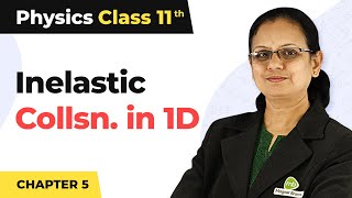 Inelastic Collision in One Dimension  Work Energy and Power  Class 11 Physics [upl. by Glavin]