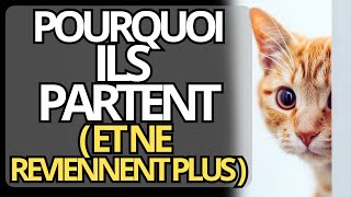 POURQUOI LES CHATS QUITTENT ILS DÉFINITIVEMENT LA MAISON 🐱💔  Psychologie Féline [upl. by Vallo896]