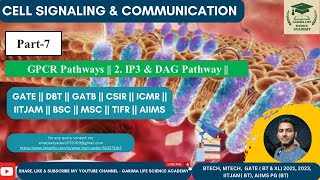 Part7 GPCR Pathway  2 IP3 DAG Pathway  GATB  GATE  CSIR  ICMR  IITJAM  DBT  JNU [upl. by Atsira]