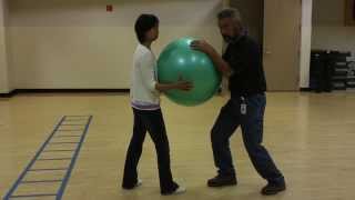 Taiji Taichi Gravity Center in Form Training [upl. by Ragucci]