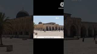 namaze aqsha me im313allah masjide aqshshort video islamicnaat [upl. by Akerue]