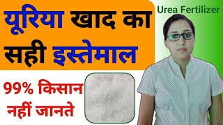 All about urea fertilizer  how to apply urea fertilizer  how to use urea fertilizer on plantsampcrop [upl. by Jacinda562]