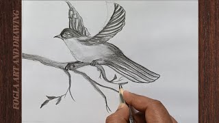 How to draw a Bird  Bird Drawing Lesson step by step [upl. by Ayna355]