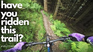 Glentress  New Trails and Great Trails [upl. by Ahsiyk]