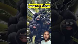 তালের জীবনে 😂  funnyvideo comedyshorts [upl. by Grethel]