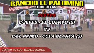 RANCHO EL PALOMINO 832013 EL CUERVO CJEFES VS COLA BLANCA C EL PRIMO 300YDS GANANDO EL CUERVO [upl. by Ochs]