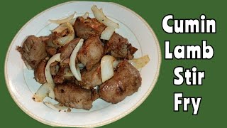 Chinese Style Cumin Lamb Stir Fry [upl. by Gefell936]