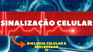 SINALIZAÇÃO CELULAR COMUNICAÇÃO CELULAR  BIOLOGIA CELULAR E MOLECULAR  RECEPTORES CELULARES [upl. by Furtek]