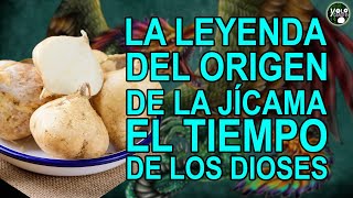 La leyenda del origen de la Jícama – El tiempo de los dioses [upl. by Jobye]