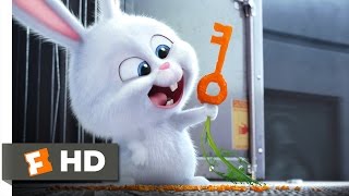 The Secret Life of Pets  Busting You Out Scene 310  Movieclips [upl. by Yetsirhc]