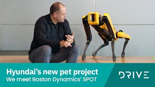 Boston Dynamics’ SPOT Is A Window Into Our Robotic Future  Drivecomau [upl. by Gratianna]