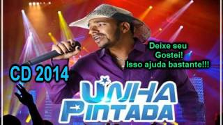 Unha Pintada Show CD 2014 Completo [upl. by Nylarad994]