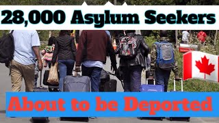 The Dark Reality 28000 Canada Asylum Seekers to be Deported [upl. by Hew]