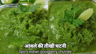 Spicy Amla Chutney Recipe। आंवला की तीखी चटनी।Spicy indian Goosberry Chutney।Amla ki Chutney। [upl. by Asilanom]