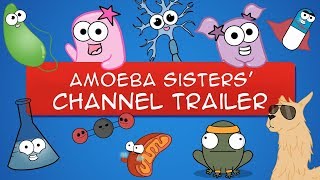 The Amoeba Sisters YouTube Trailer OLD VIDEO [upl. by Silden]