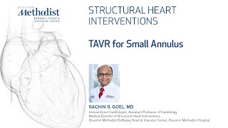 Structural Heart Intervention Series TAVR for Small Annulus  Sachin Goel MD [upl. by Enortna]