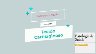 Histologia  Tecido cartilaginoso [upl. by Karine]