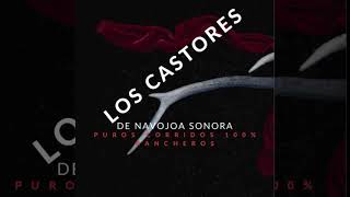 Los Castores De Navojoa Sonora Puros Corridos 100  Rancheros [upl. by Ayhtak831]