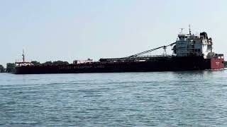 Canada Steamship Lines Baie Comeau Freighter 91224 [upl. by Orest435]