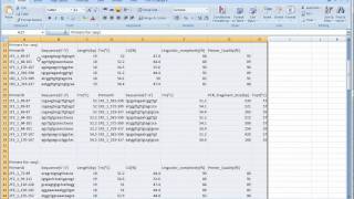 jPCR software advanced PCR use [upl. by Elocin916]