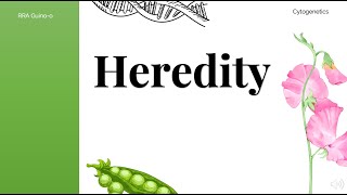 Heredity and Medelian Heredity [upl. by Quar]