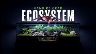 🦀 BUILDING A HUGE VAMPIRE CRAB ECOSYSTEM PALUDARIUM STEP BY STEP [upl. by Ecyal244]