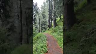 miranjani trekking nathiagali nature pakistan [upl. by Najar]