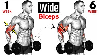 14 BEST Exercises for WIDER BICEPS [upl. by Asamot558]