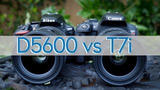 Handson Review  Canon T7i 800D vs Nikon D5600 [upl. by Wynne]