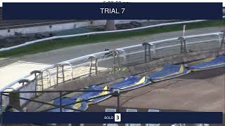 Sheffield Trials on 15th June 2024 [upl. by Eened]