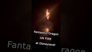 🔥🔥 Fantasmic Dragon ON FIRE at Disneyland 🔥🔥 shorts [upl. by Norvin374]