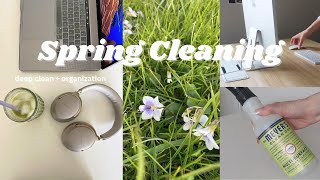 spring cleaning 2024 satisfying apartment deep clean [upl. by Verger279]